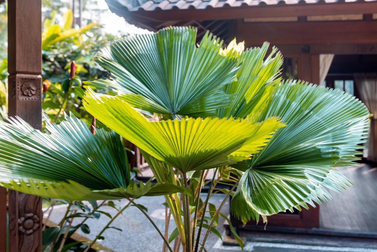 Villa Waturenggong Ubud Екстер'єр фото